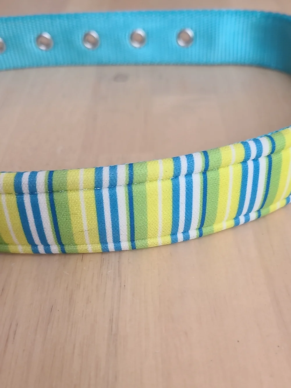 Turquoise & Yellow Striped Dog Collar